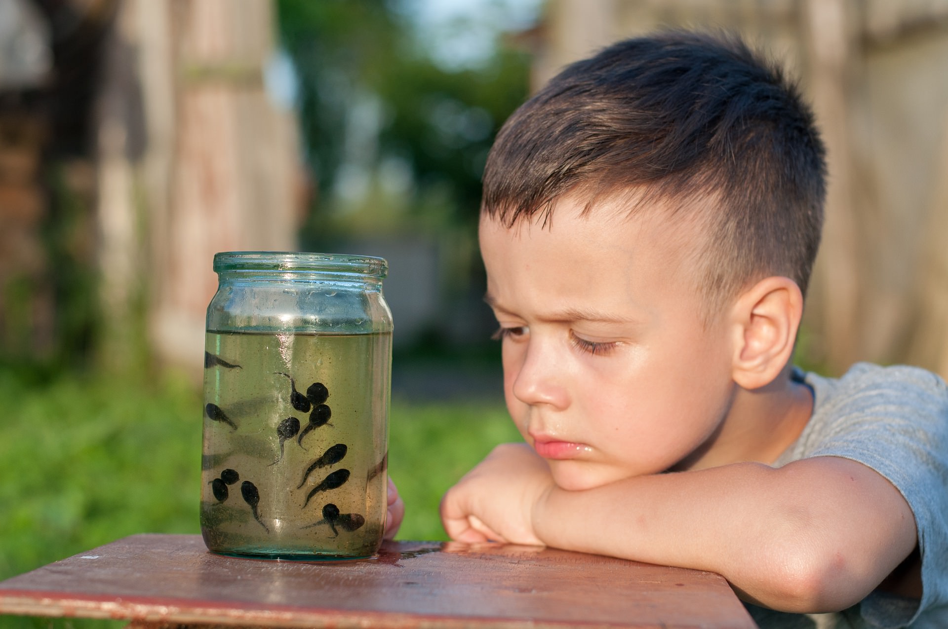 Tratamientos alternativos para niños en Zaragoza